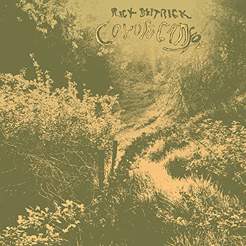 Coyote Canyon [LP] Vinyl Record