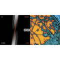 Strokes - Is This It & First Impressions Of Earth - LP Vinyl Bundle