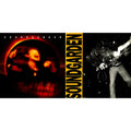 Superunknown & Louder Than Love