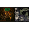 Beyond The Flesh (180G/Reissue) & Desolate Isolation (LP/CD/180G/10Th Anniversary Edition)