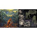 Skeletal Remains - Condemned To Misery (180G/Reissue) & Desolate Isolation (LP/CD/180G/10Th Anniversary Edition)