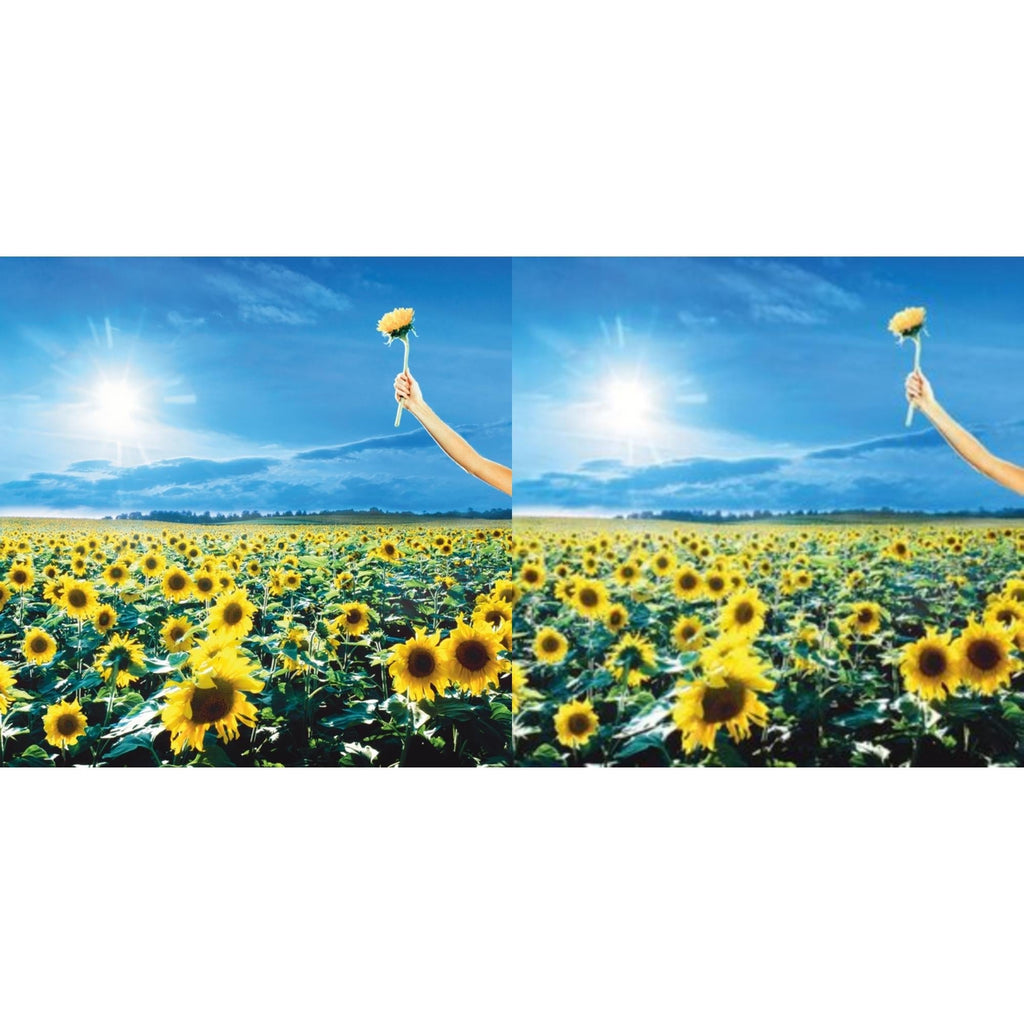 Stone Temple Pilots - Thank You (Opaque Sky Blue Vinyl/2LP) (Rocktober) & Thank You (2LP)