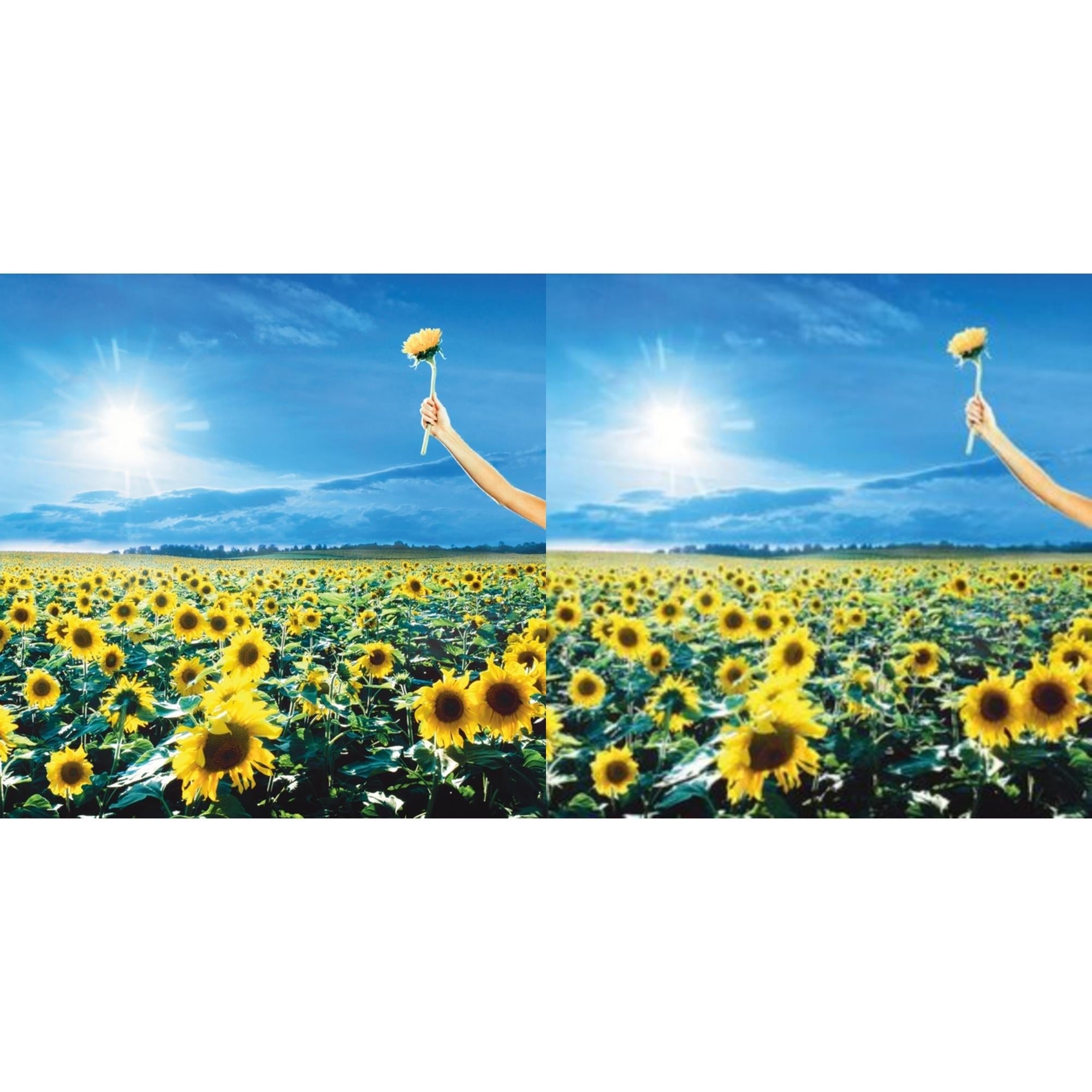 Stone Temple Pilots - Thank You (Opaque Sky Blue Vinyl/2LP) (Rocktober) & Thank You (2LP)