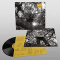 "Hello, Hi" Vinyl Record