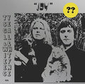 Segall, Ty & White Fence Joy Vinyl Record