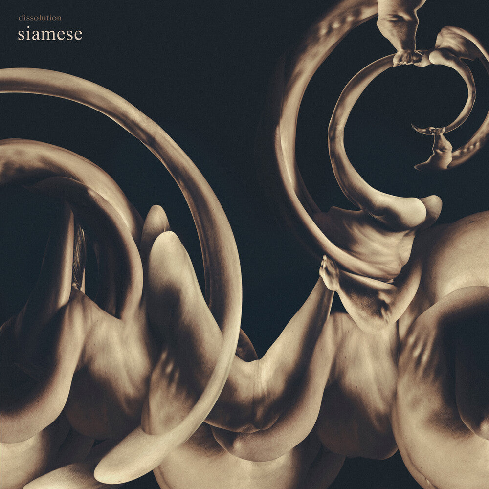 Siamese – Dissolution Music CD