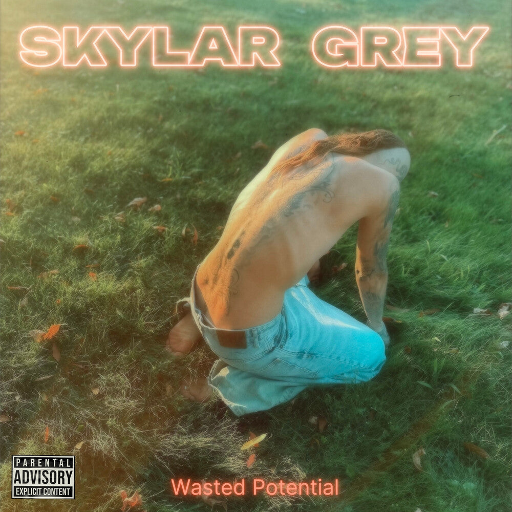 Skylar Grey – Wasted Potential Music CD