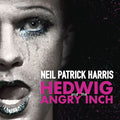 Hedwig And The Angry Inch (Original Cast Recording) (Pink Vinyl) (2LP) [ROCKTOBER EXCLUSIVE] Vinyl Record