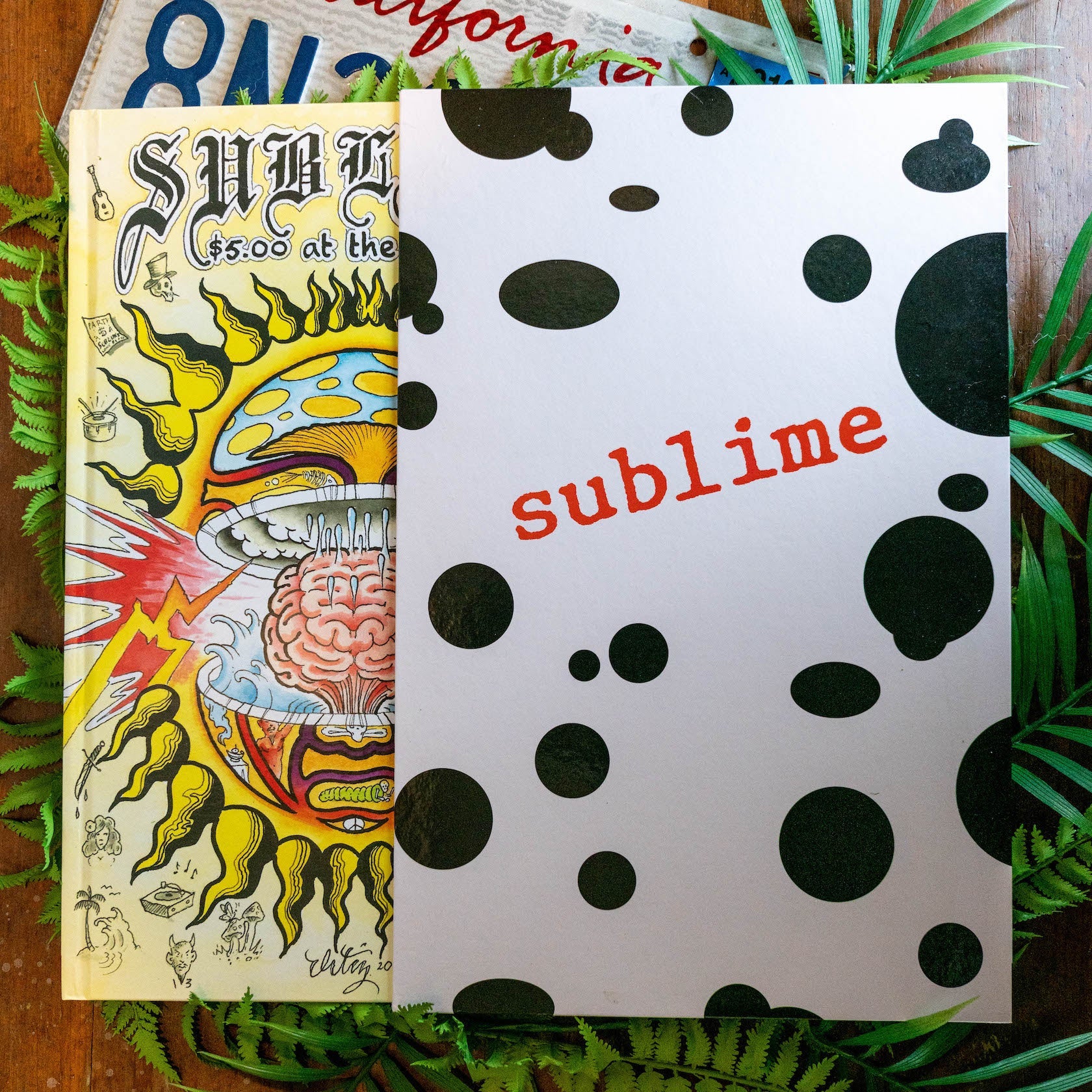 Sublime $5 at the Door - Deluxe Book