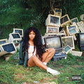 Ctrl [2LP Translucent Green] (Vinyl) Vinyl Record
