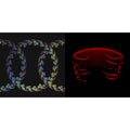 Tool - Lateralus (2LP/Picture Disc/4 Different Images/Holographic Gatefold) & Undertow