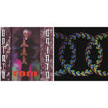 Opiate Ep & Lateralus (2LP/Picture Disc/4 Different Images/Holographic Gatefold)