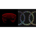 Undertow & Lateralus (2LP/Picture Disc/4 Different Images/Holographic Gatefold)
