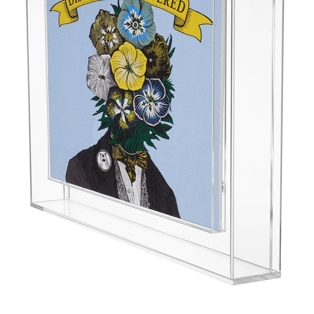 Display & Play Record Album Magnetic Float Frame | Vinyl Float Frame