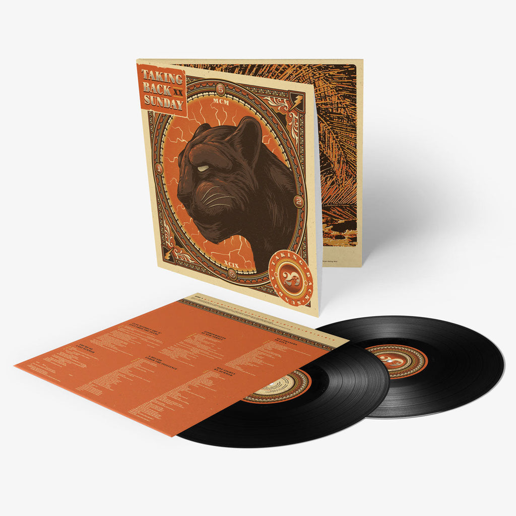 Twenty (2 LP) Vinyl Record
