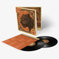 Twenty (2 LP) Vinyl Record