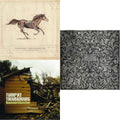 Turnpike Troubadours & Long Way From Your Heart & Diamonds & Gasoline