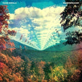 Tame Impala INNERSPEAKER Vinyl Record