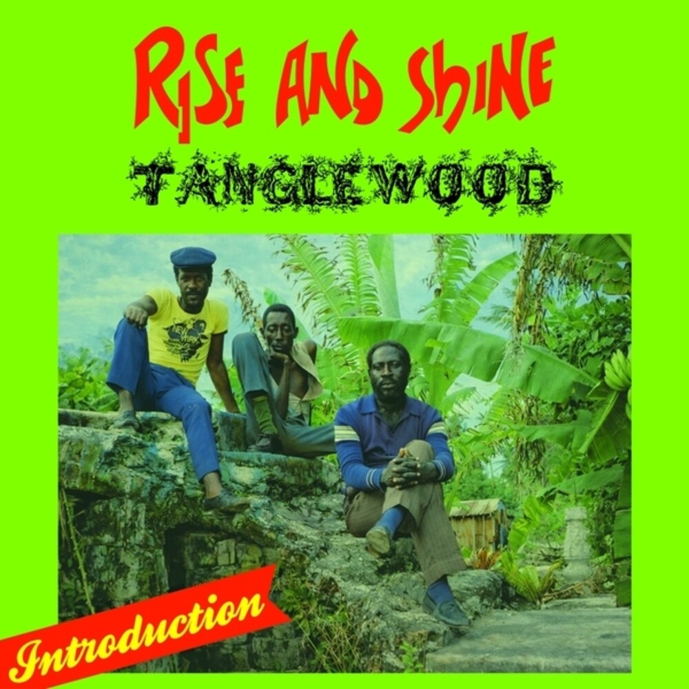 Tanglewood – Rise & Shine (LP Vinyl) Vinyl Record