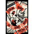 Tearing Down the Orange Curtain: How Punk Rock Brought Orange County to the World - Hardcover Book