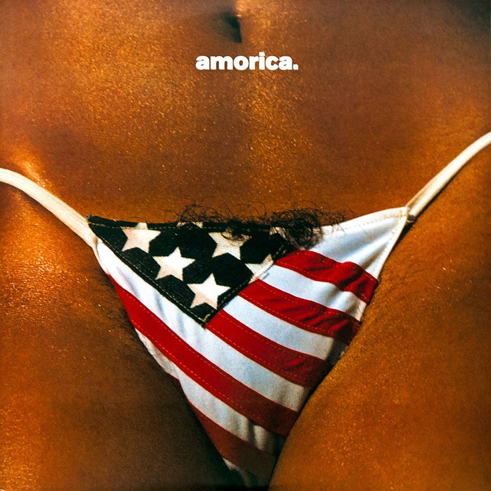 The Black Crowes – Amorica. (2-LP Vinyl) Vinyl Record