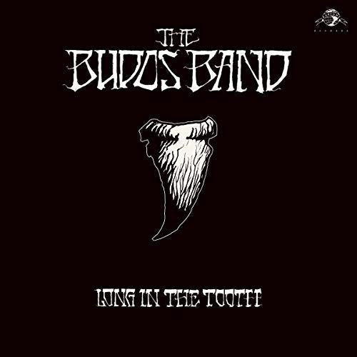 Long In The Tooth (Digital Download Card) Vinyl Record