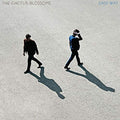 Easy Way (Indie Only Color Vinyl) Vinyl Record