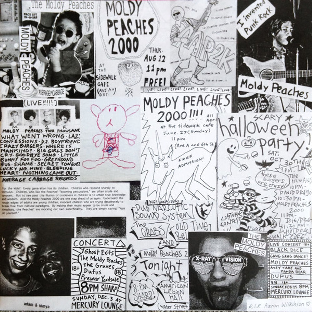 The Moldy Peaches – The Moldy Peaches (LP Vinyl) Vinyl Record