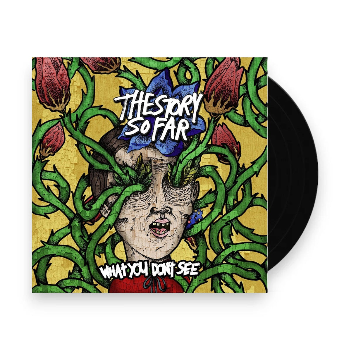 The Story So Far – What You Don't See (LP Vinyl) Vinyl Record