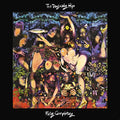 Fully Completely [30th Anniversary Deluxe 3 LP/Blu-ray Box Set] Vinyl Record