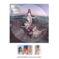 The Warning Everything’s Falling Picture Disc Vinyl Record