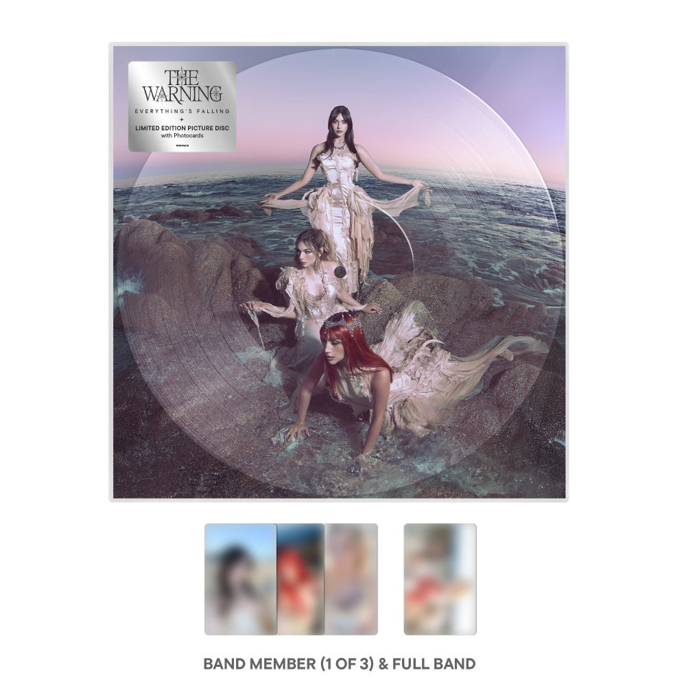 The Warning Everything’s Falling Picture Disc Vinyl Record