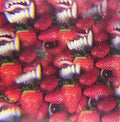 Thee Oh Sees Floating Coffin Vinyl Record