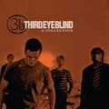 Third Eye Blind - A Collection Vinyl Record