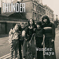 Wonder Days Vinyl Record