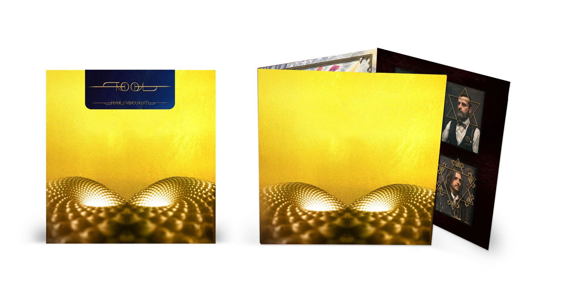 Tool Fear Inoculum Vinyl Record