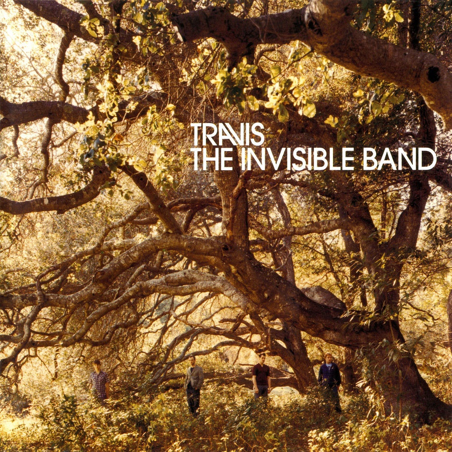 The Invisible Band (20th Anniversary) [LP] Vinyl Record