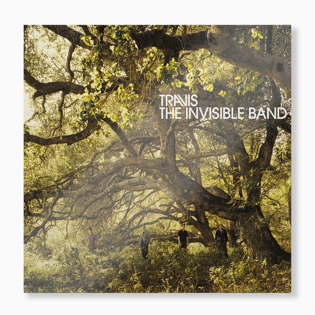 The Invisible Band Vinyl Record