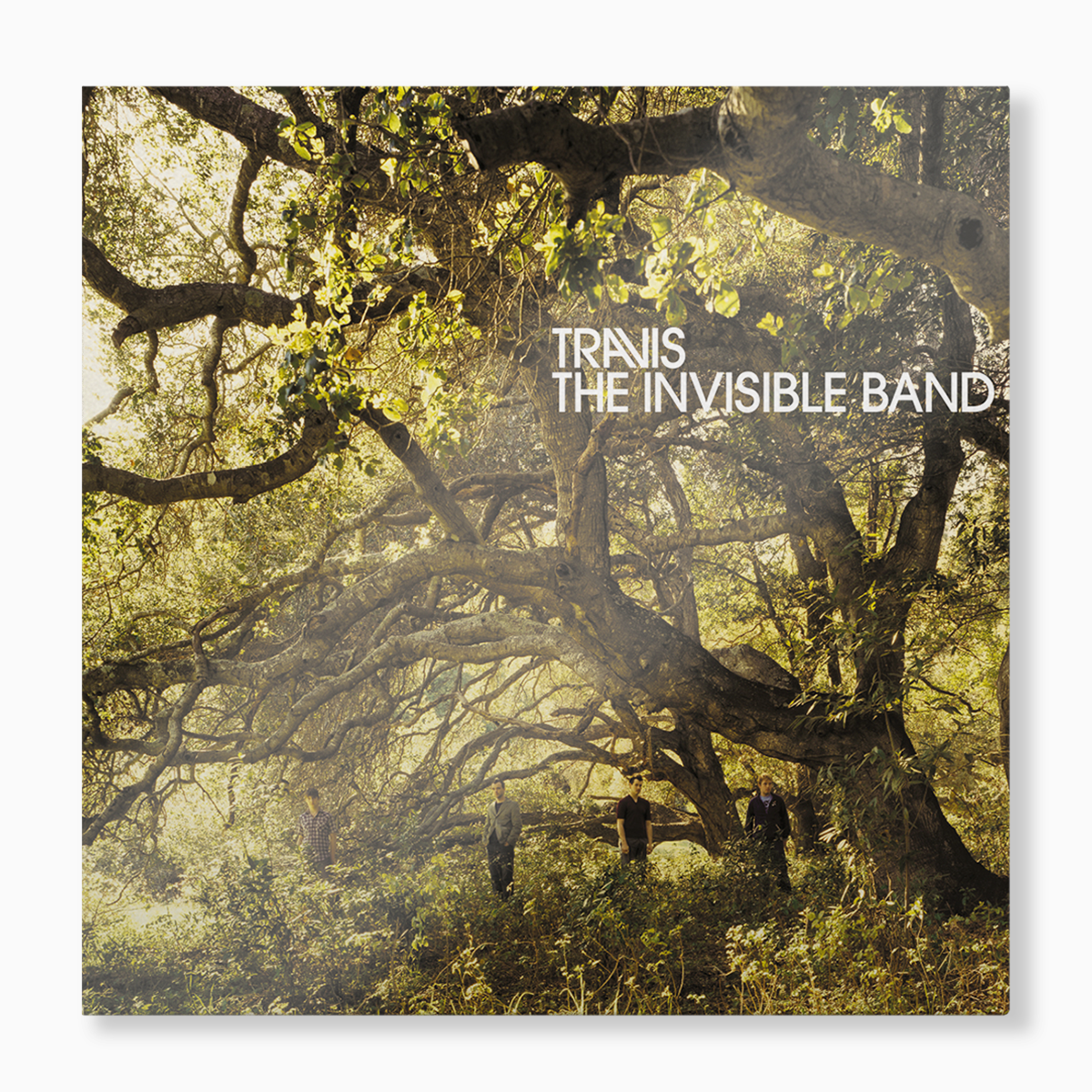 The Invisible Band Vinyl Record