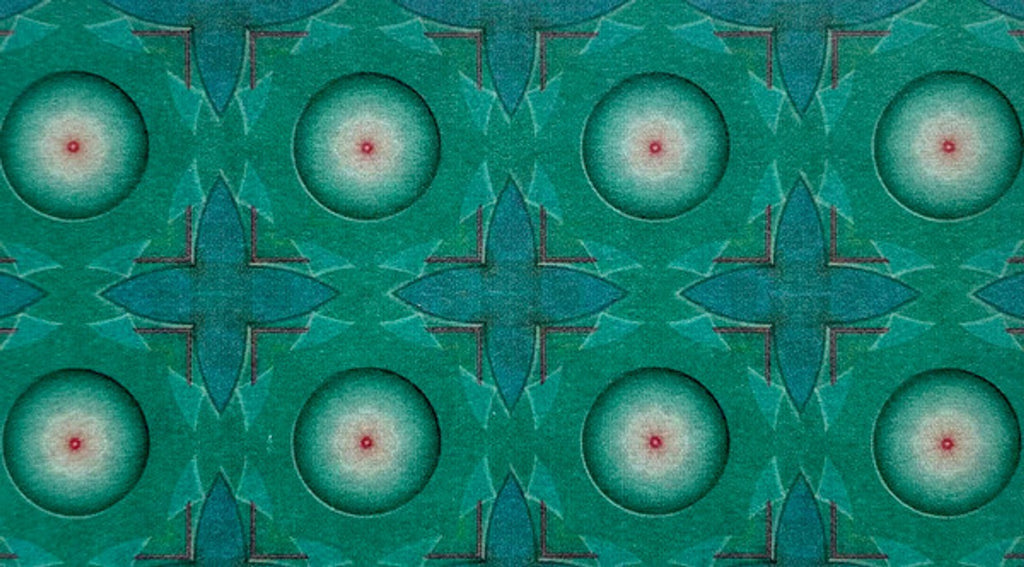 Trey Anastasio – Paper Wheels (Limited Edition 2-LP Vinyl Box Set) Vinyl Record