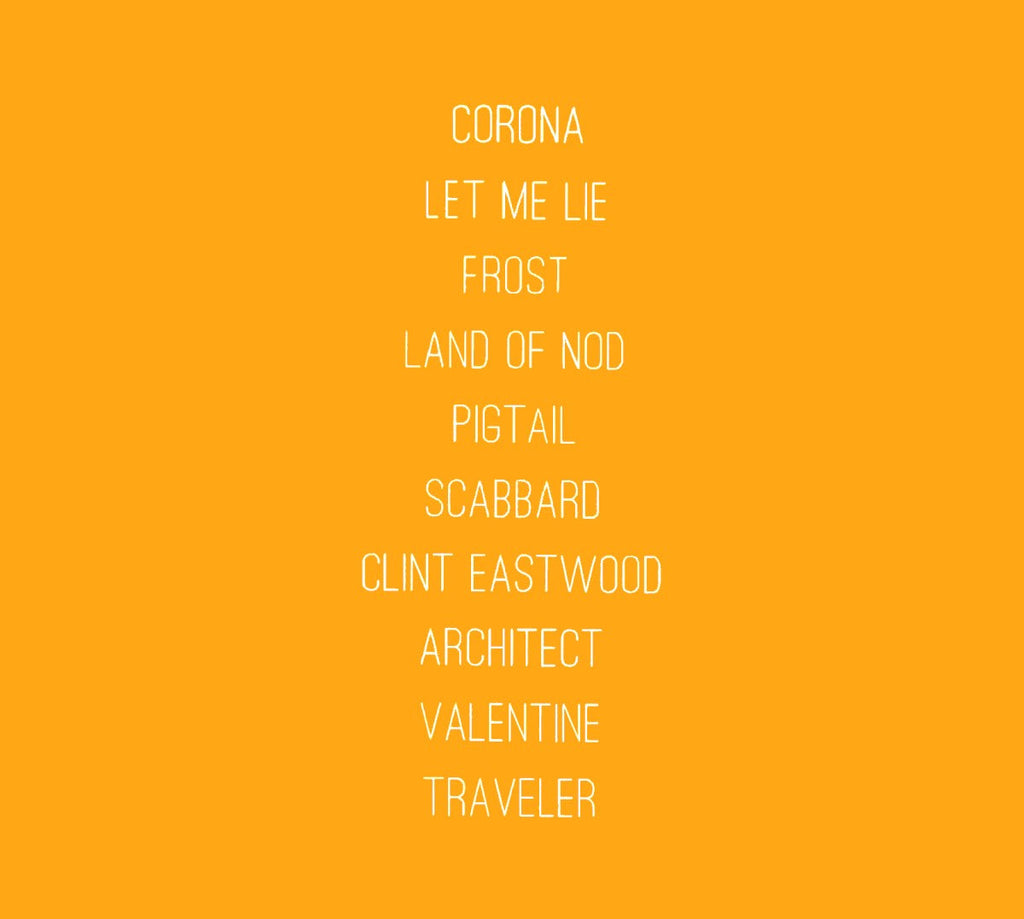 Trey Anastasio – Traveler Music CD