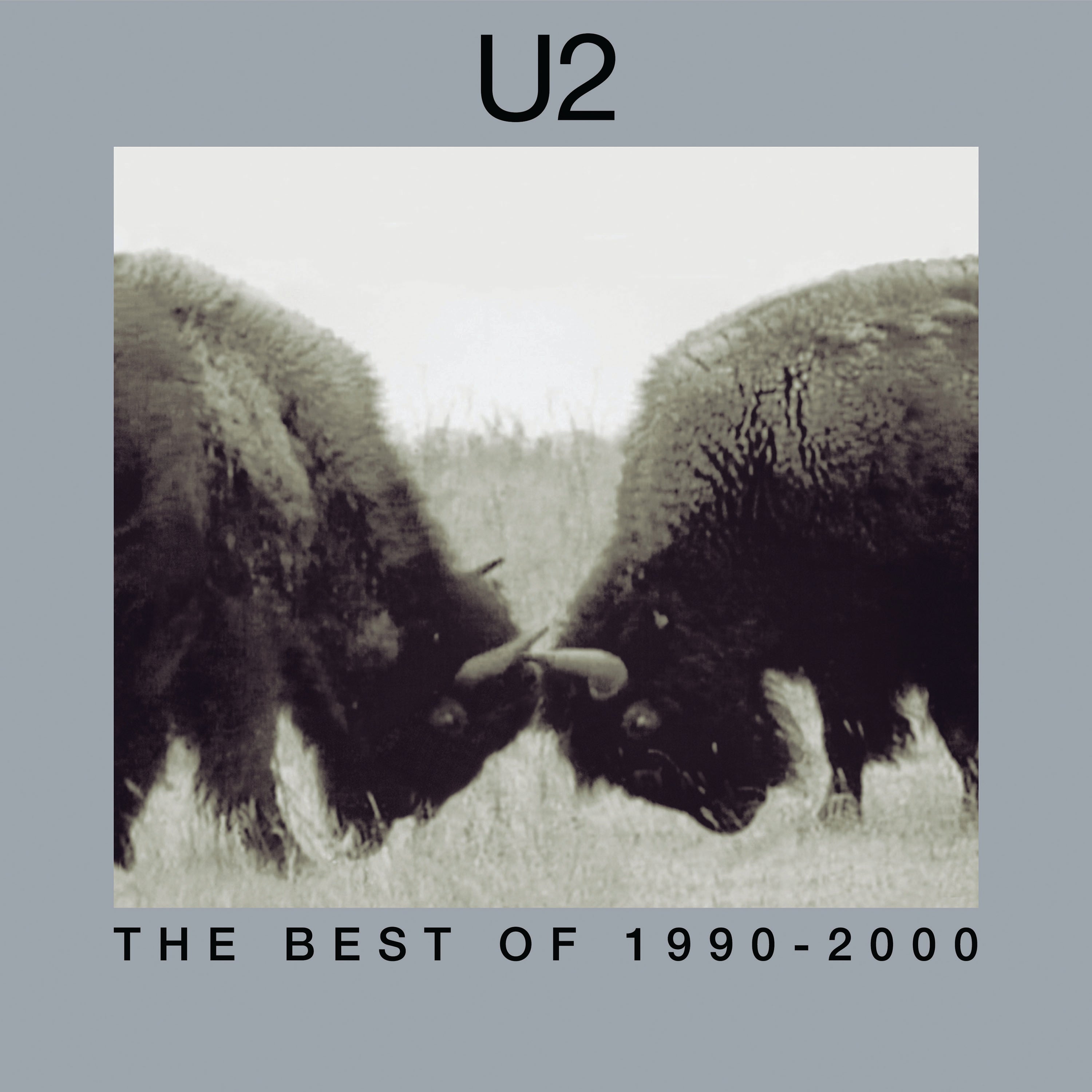 U2 The Best Of 1990-2000 [2 LP] Vinyl Record