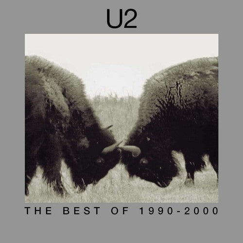 U2 – The Best Of 1990-2000 (2-LP Vinyl) Vinyl Record