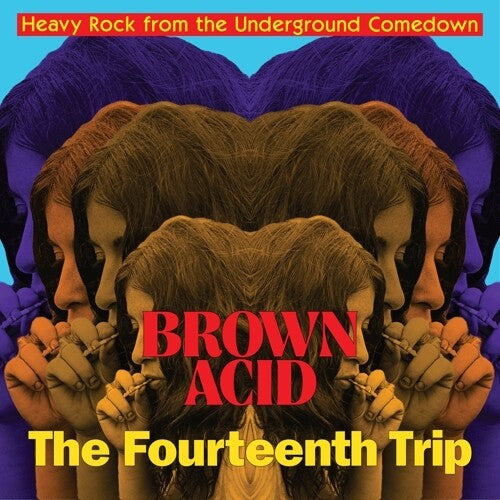 Brown Acid: The Fourteenth Trip Vinyl Record