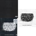 Dark Times  & Summertime 06 (X) (Segment 1) & Summertime 06 (Exp) (Segment 2)