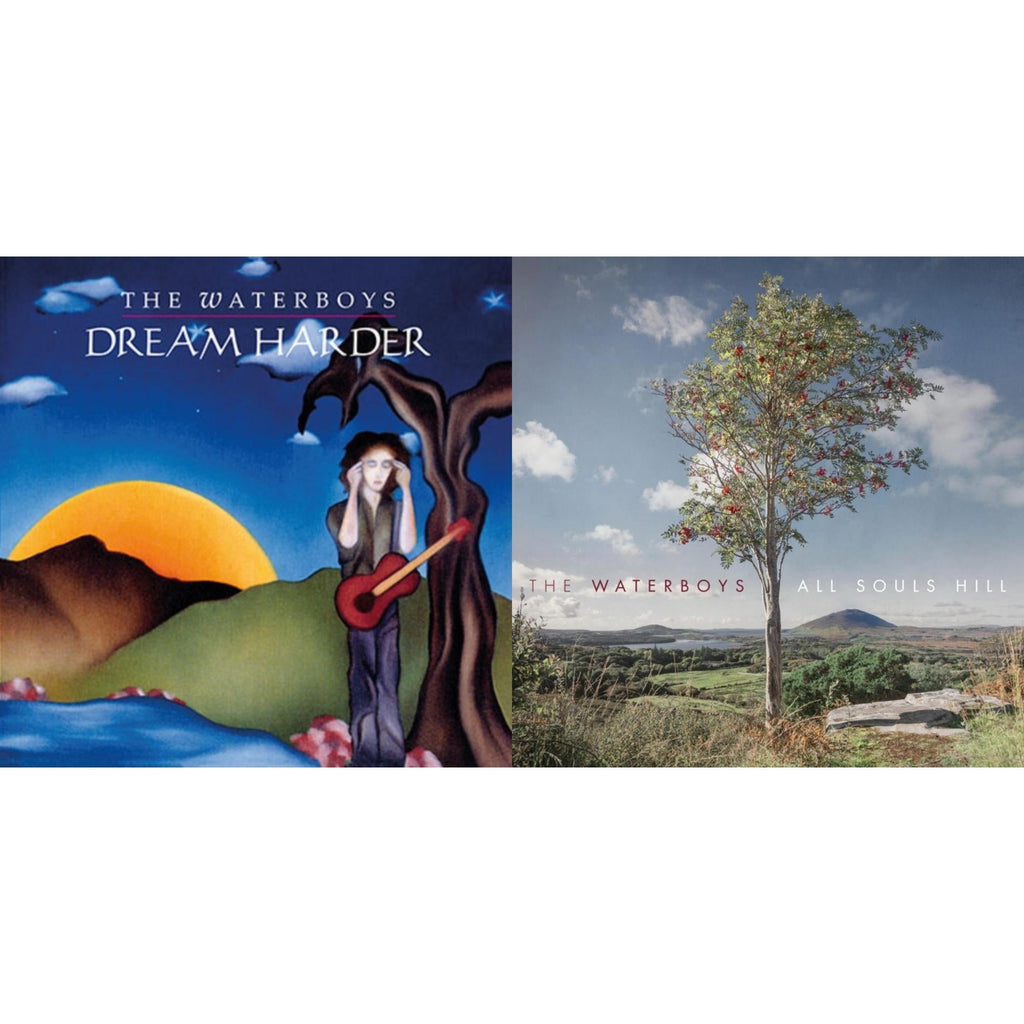 Waterboys - Dream Harder (180G) & All Souls Hill - LP Vinyl Bundle