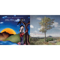 Waterboys - Dream Harder (180G) & All Souls Hill - LP Vinyl Bundle