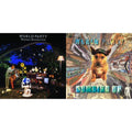 Private Revolution & Dumbing Up (2LP)