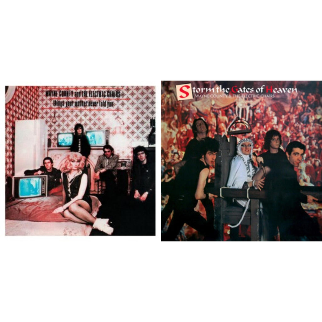 Wayne & The Electric Chairs County - Things Your Mother Never Told You & Storm The Gates Of Heaven - LP Vinyl Bundle