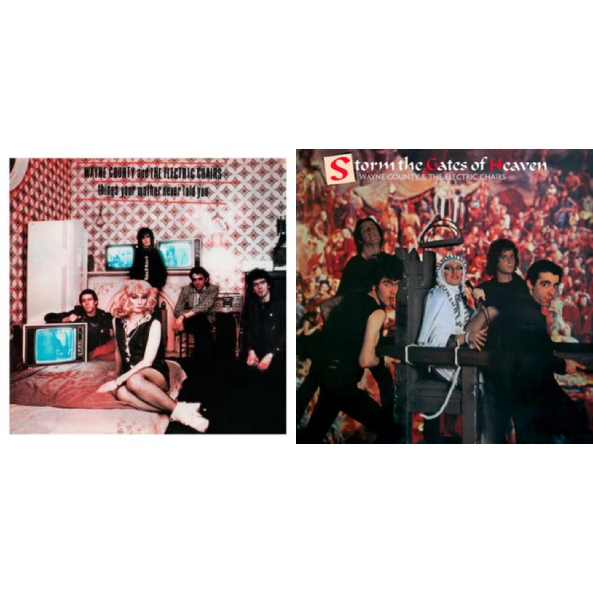 Wayne & The Electric Chairs County - Things Your Mother Never Told You & Storm The Gates Of Heaven - LP Vinyl Bundle